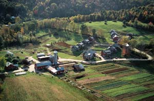 Community Living: New Urbanism, Ecovillages, Cohousing Image